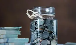 رونمایی تامین سرمایه لوتوس از وبسایت جدید