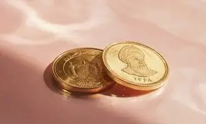 سکه امامی صدرنشین بازدهی بازارهای مالی شد