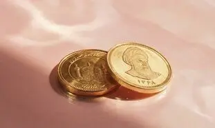 سکه امامی صدرنشین بازدهی بازارهای مالی شد
