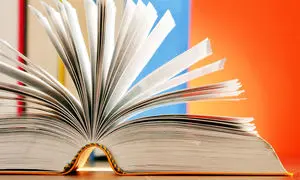 نقد کتاب تسخیر سیاست‌گذاری در نشر نی