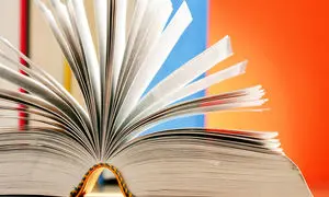 نقد کتاب تسخیر سیاست‌گذاری در نشر نی