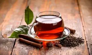 آغاز همکاری پین‌دیس و شاهسوند
