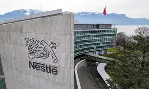 بسته‌بندی‌های زیستی نستله؛ انتخابی پایدار برای حفاظت از طبیعت 