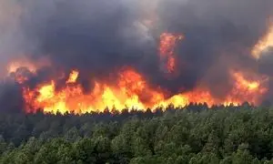 مدیریت آتش‌ سوزی جنگل‌ های هیرکانی با ماهواره خیام