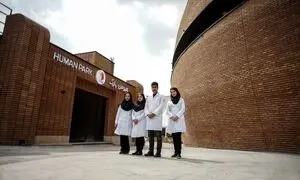 جشن سازمانی رویایی؛ با تخفیف‌ های گروهی ایران فان