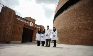 جشن سازمانی رویایی؛ با تخفیف‌ های گروهی ایران فان