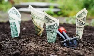 چرا کارن کراد سرمایه‌گذاران خرد را هم جذب کرده است؟