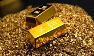 توسعه همکاری نواگلد با لندتک‌ها