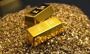 توسعه همکاری نواگلد با لندتک‌ها