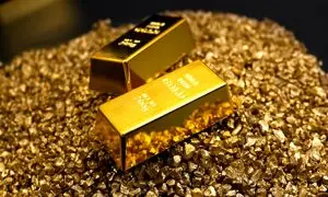 توسعه همکاری نواگلد با لندتک‌ها