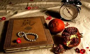 آغاز کمپین محیطی شب یلدای سازمانی یکتاپی و حلیا هنر