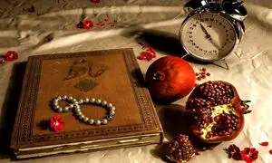 آغاز کمپین محیطی شب یلدای سازمانی یکتاپی و حلیا هنر