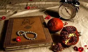 آغاز کمپین محیطی شب یلدای سازمانی یکتاپی و حلیا هنر
