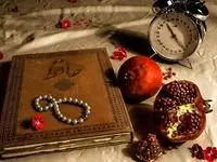 آغاز کمپین محیطی شب یلدای سازمانی یکتاپی و حلیا هنر