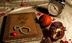 آغاز کمپین محیطی شب یلدای سازمانی یکتاپی و حلیا هنر