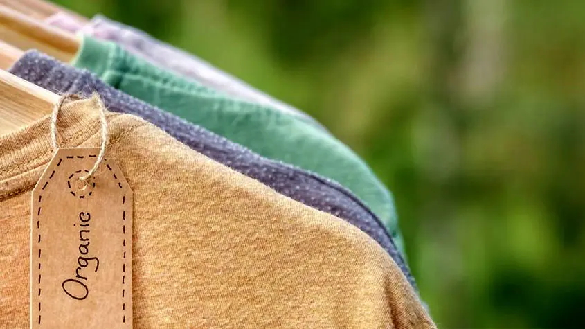 کدام برندهای ایرانی به سمت تولید پایدار رفته‌اند؟