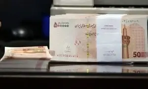 جزئیات وام‌های پرداختی دیجی‌شهر در سال گذشته
