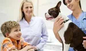 راهنمای کامل انتخاب بهترین کلینیک دامپزشکی در پی‌ جو