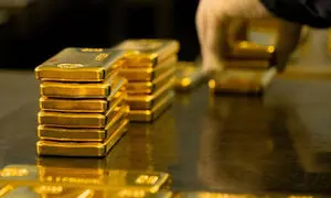 اقدامات تکنوگلد برای جبران دیرکرد تسویه کاربران
