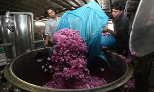 مزایای دستگاه عرق‌ گیری صنعتی برای تولید گلاب مرغوب