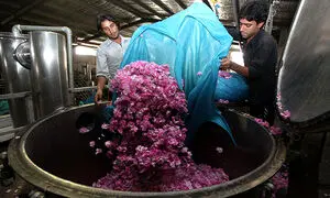 مزایای دستگاه عرق‌ گیری صنعتی برای تولید گلاب مرغوب