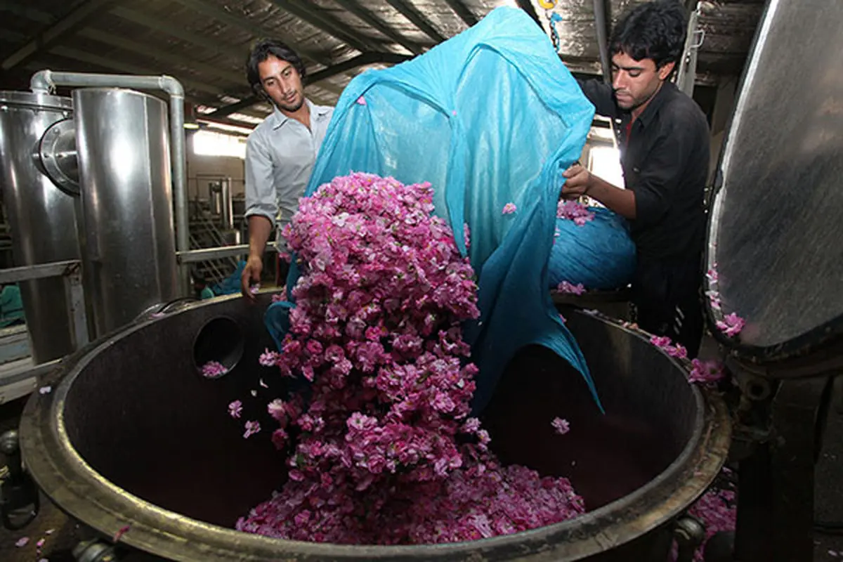 مزایای دستگاه عرق‌ گیری صنعتی برای تولید گلاب مرغوب
