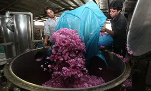 مزایای دستگاه عرق‌ گیری صنعتی برای تولید گلاب مرغوب