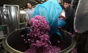 مزایای دستگاه عرق‌ گیری صنعتی برای تولید گلاب مرغوب
