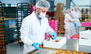 برگزاری کارگاه تولید بدون کارخانه در صنایع عمومی