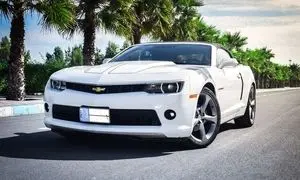 اهمیت بیمه و تعهدات در اجاره خودرو؛ آنچه مشتری باید بداند