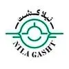 نیلاگشت