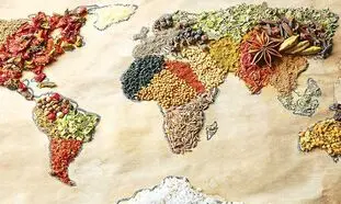 خطر بیخ گوش امنیت غذایی جهان