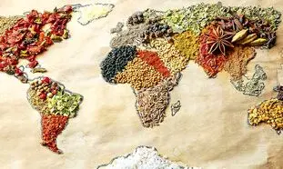 خطر بیخ گوش امنیت غذایی جهان