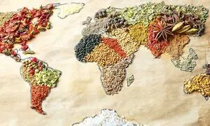 خطر بیخ گوش امنیت غذایی جهان