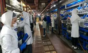 همه آنچه می‌خواهید درباره دستکش رز مریم بدانید