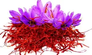با زعفران قائن در ۷ نکته آشنا شوید