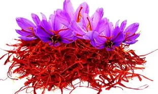 با زعفران قائن در ۷ نکته آشنا شوید