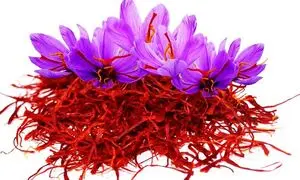با زعفران قائن در ۷ نکته آشنا شوید