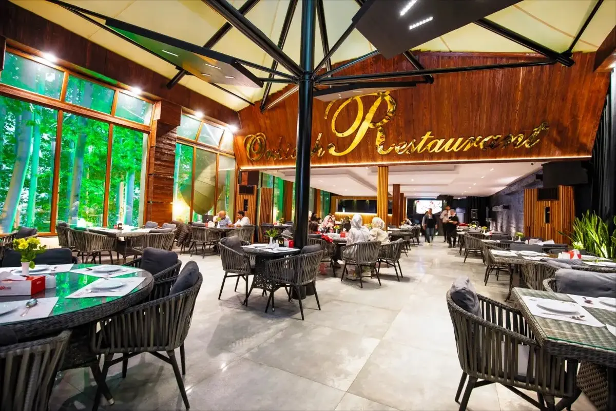 چرا ارکیده؛ بهترین انتخاب برای سفارش آنلاین غذاست؟