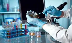 آغاز دومین دوره شتاب‌دهنده بومیکس