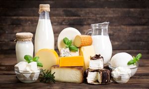 ۱۱ واقعیت خواندنی درباره برند میهن