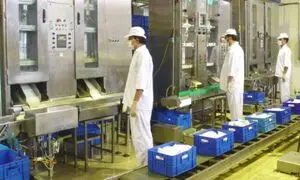 ۱۴ نکته برای آشنایی بیشتر با کاله