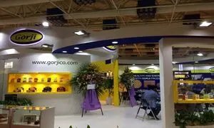 ۱۵ نکته کلیدی درباره گرجی
