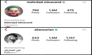 اینستاگرام با صفحه‌های میناوند و انصاریان چه کرد؟
