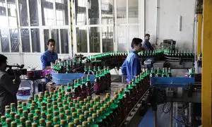 ۱۲ حقیقت خواندنی درباره ساندیس