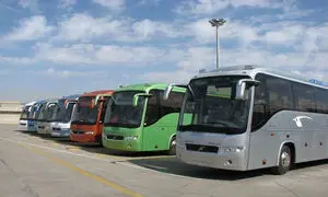 همه آنچه باید درباره رانیران بدانید