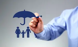 همه آنچه که می‌خواهید درباره بیمه توسعه بدانید