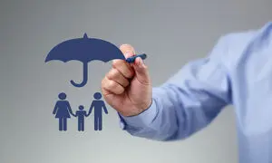 همه آنچه که می‌خواهید درباره بیمه توسعه بدانید