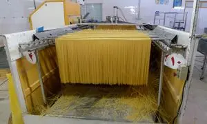9 نکته خواندنی که باید درباره ماکارونی مانا بدانید
