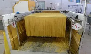 9 نکته خواندنی که باید درباره ماکارونی مانا بدانید